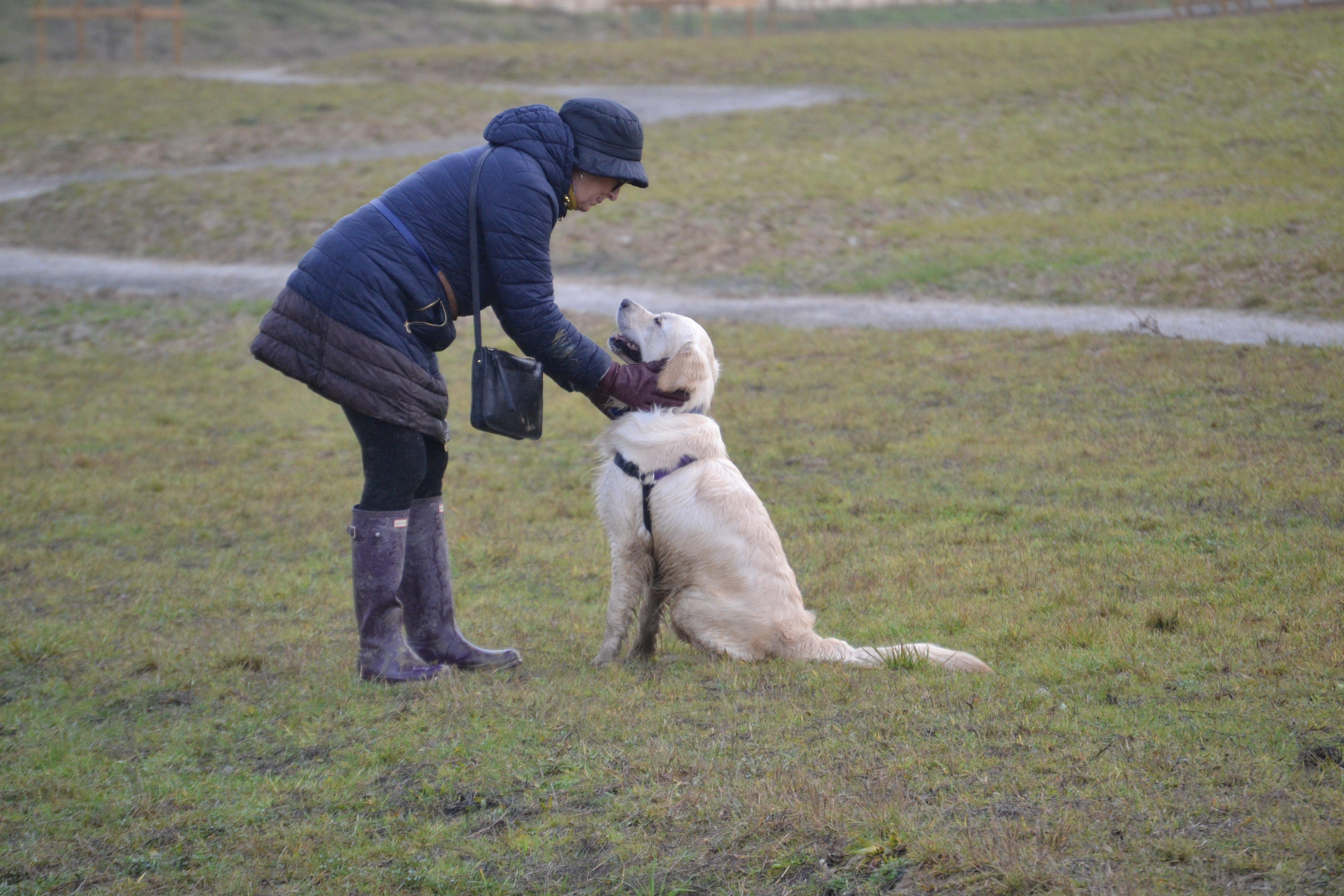 An owner and their dog at the recent  Kent and Sussex Golden Retrievers meeting, photo courtesy of Millie Goad