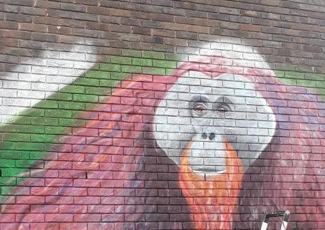 A painted orangutan looks out from the mural