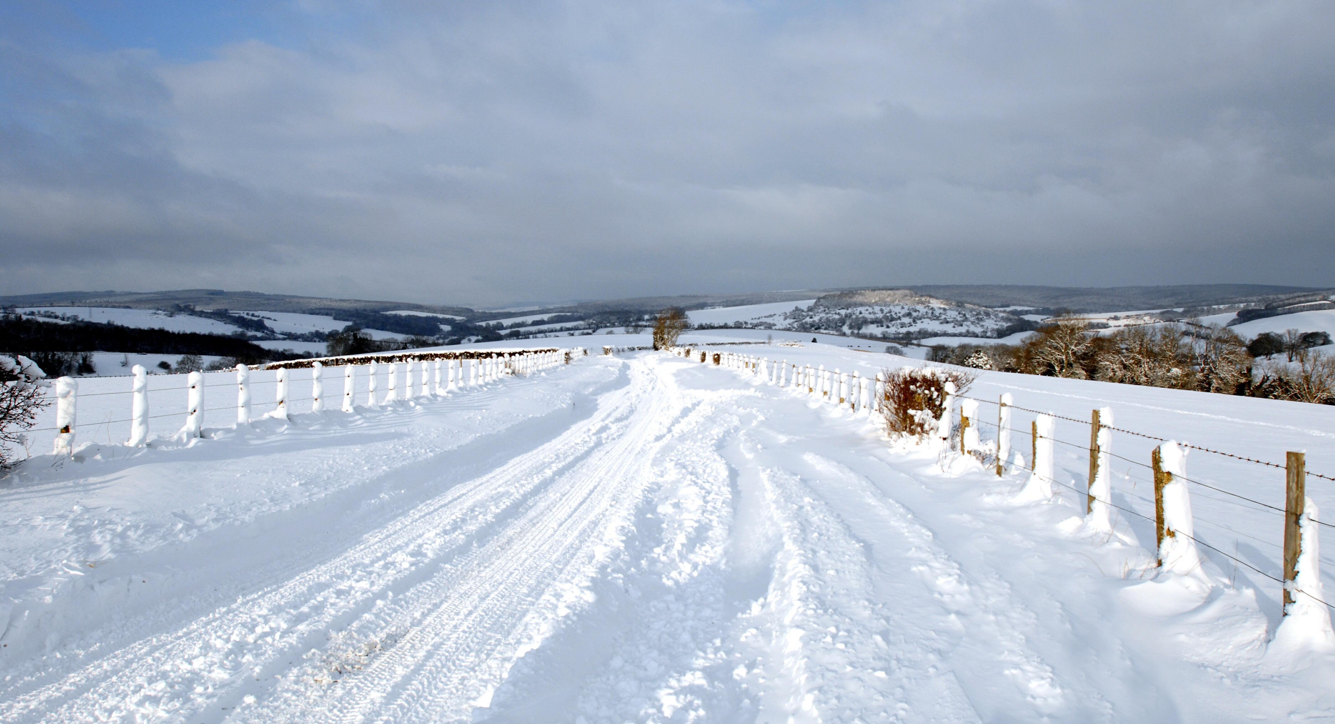 The road to Charlton from Goodwood . Photo Louise Adams
