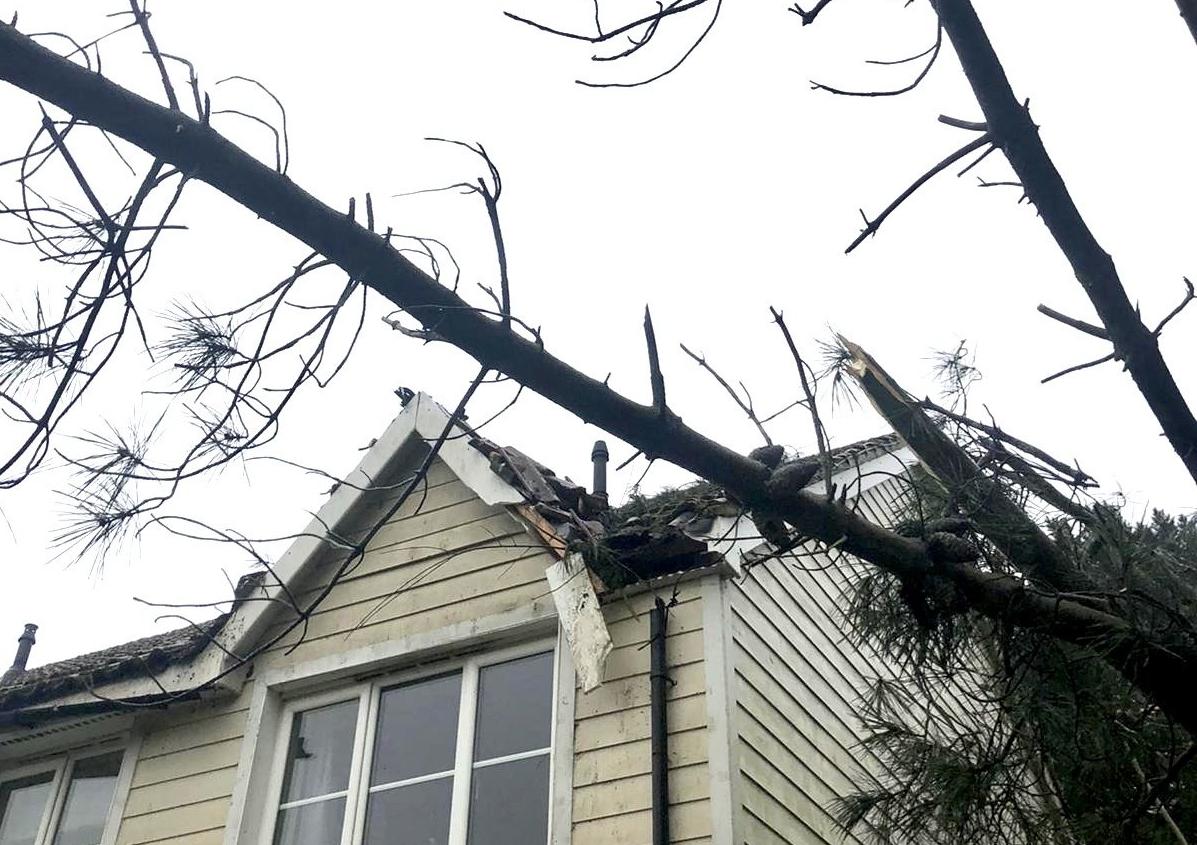 A tree has fallen onto a house in Horsham