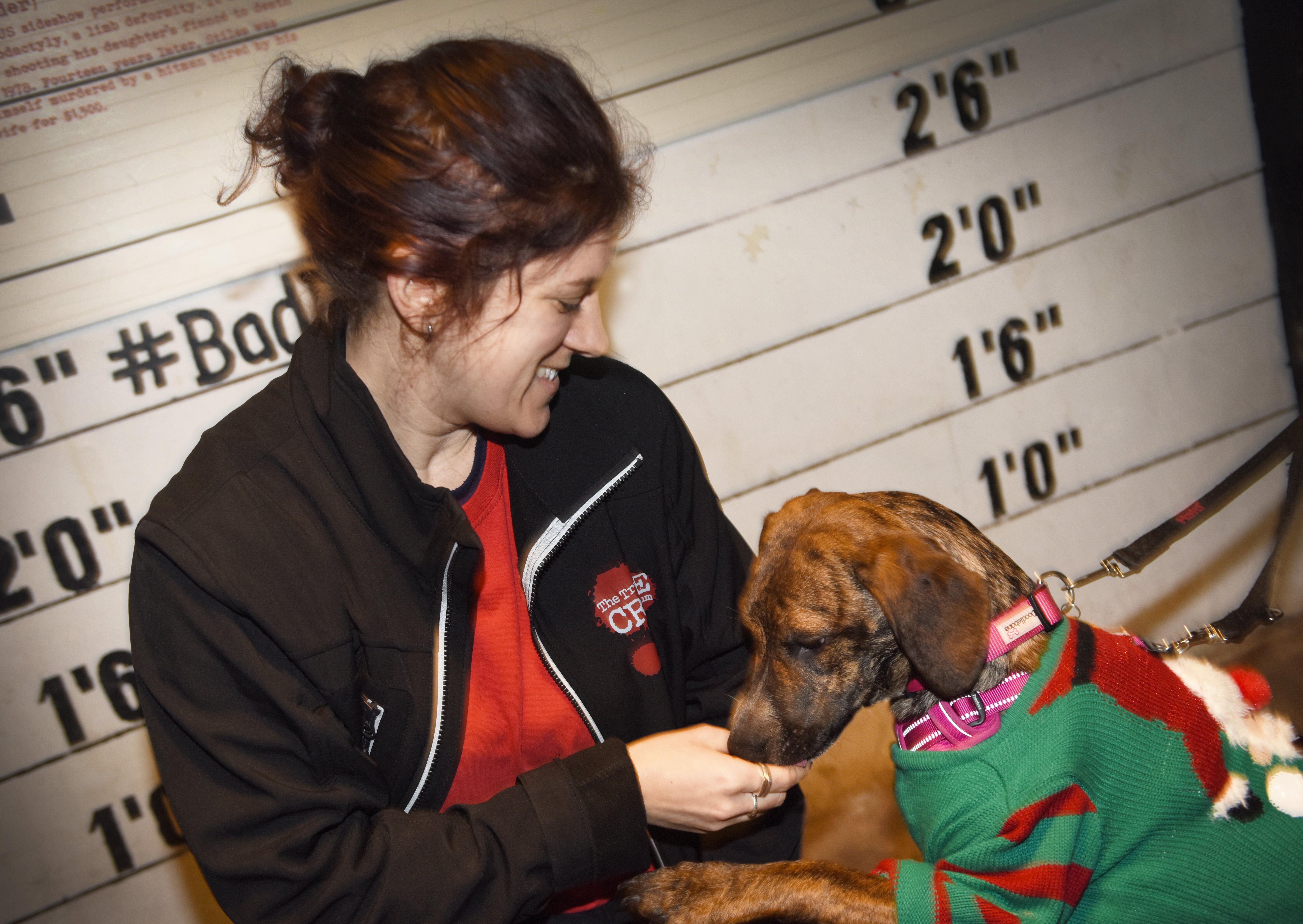 Dress Up Your Dog Day at the True Crime Museum in Hastings

Emma Shaw, from the museum, with visitor Lunar. SUS-201201-162845001