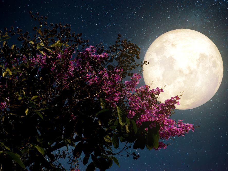 Easter Sunday itself is still determined by the cycle of the moon. Picture: Shutterstock
