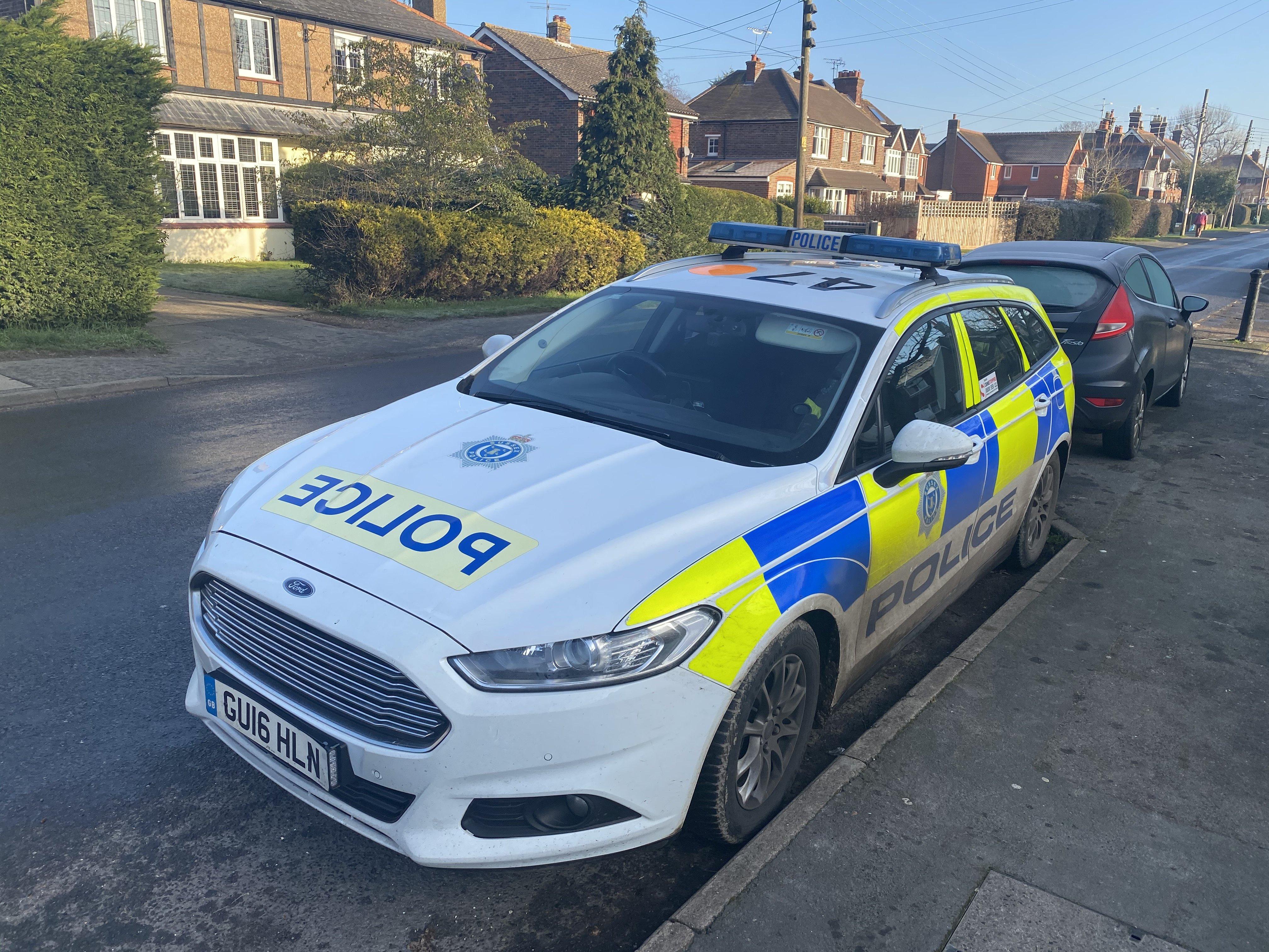 The police incident in Partridge Green