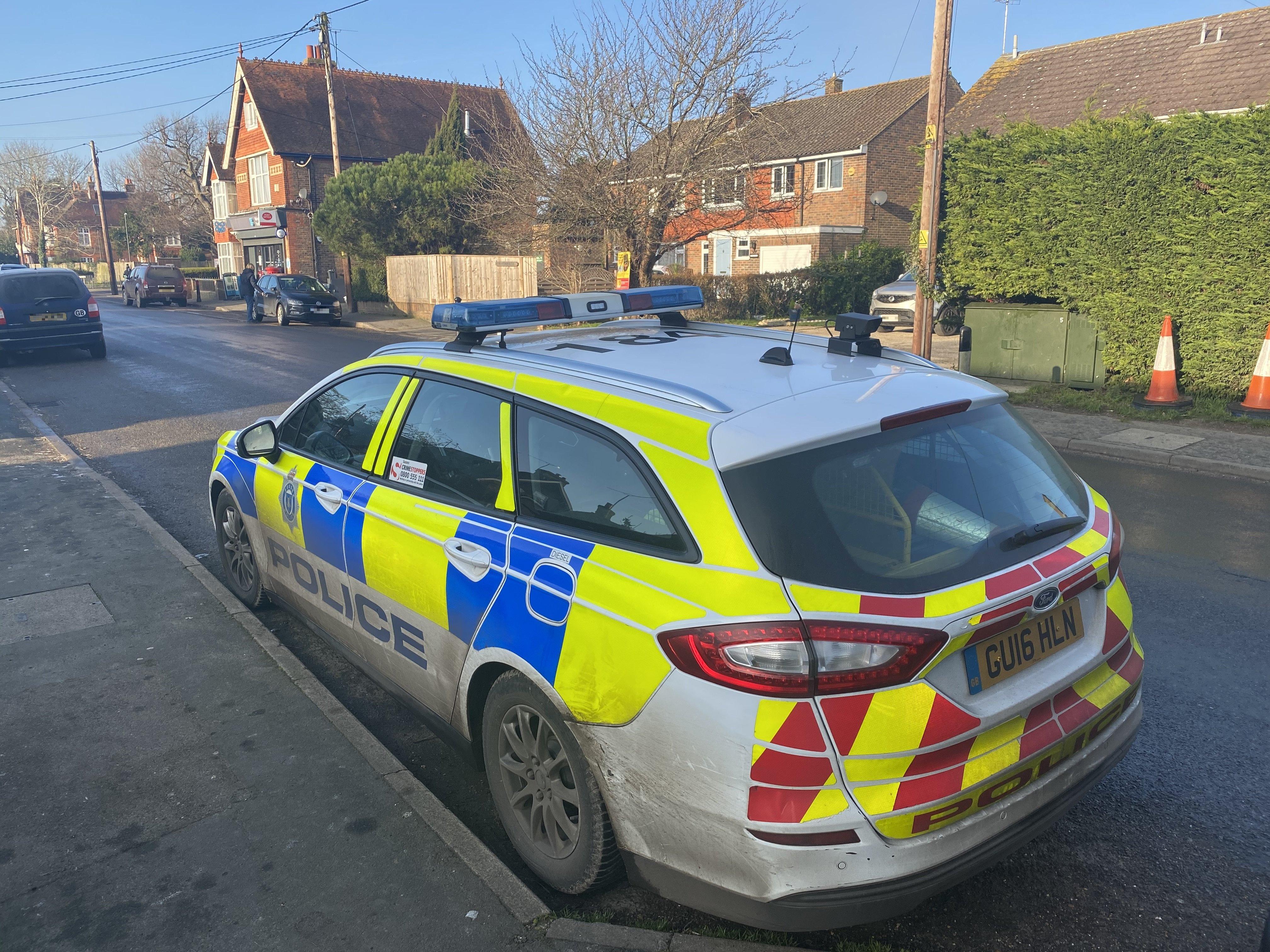 The police incident in Partridge Green
