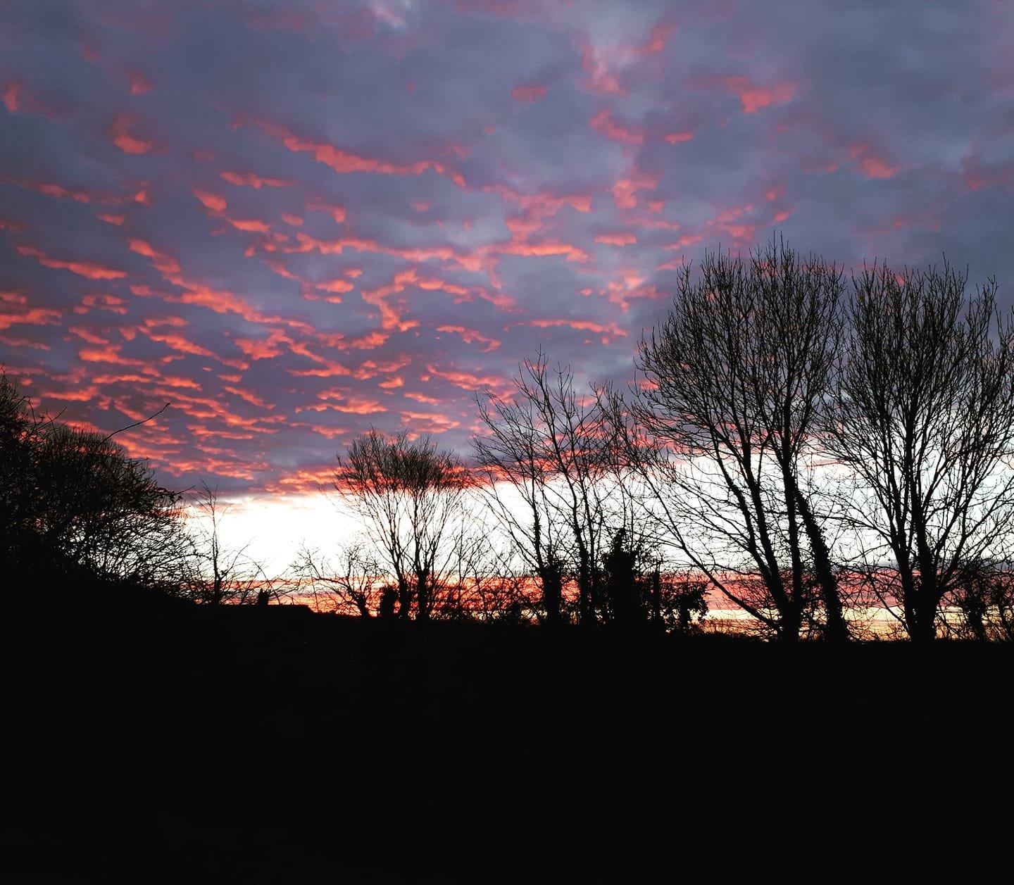 Sunrise in Lordington snapped by Gillian Dicken