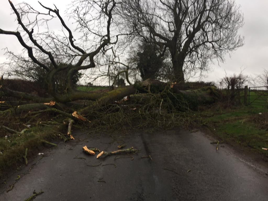 Doddington Road, in Wilby, heading towards Cut Throat Lane, has been totally blocked by falling trees.