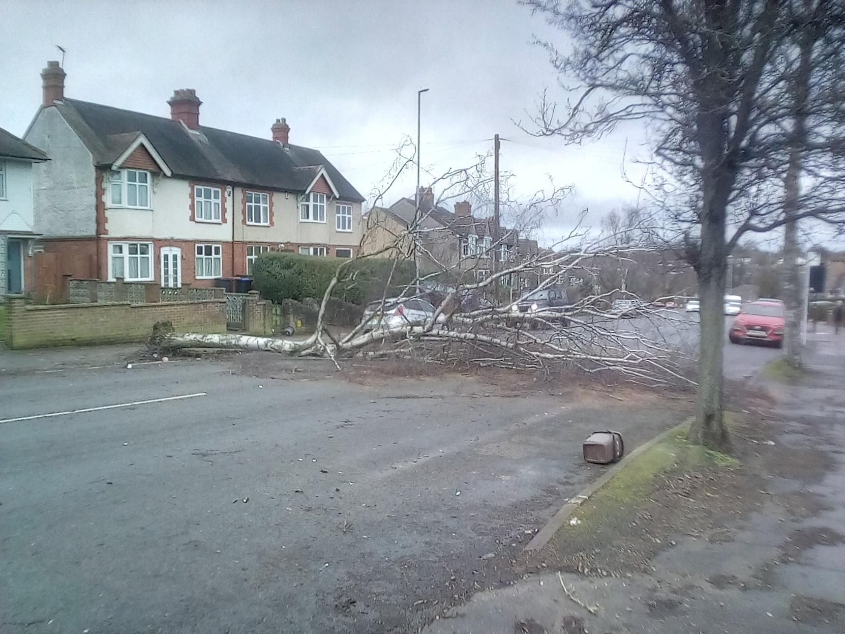 Northampton Neighbourhood Police Team were on call to help shift a tree that fell down in Kingsley Road, Northampton.