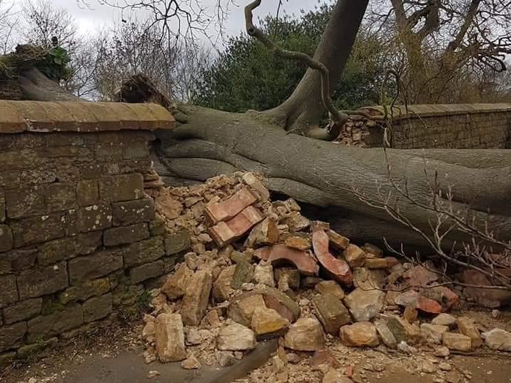 Trees are reportedly down in Rockingham and at Rushton Triangular Lodge as well as other rural areas.