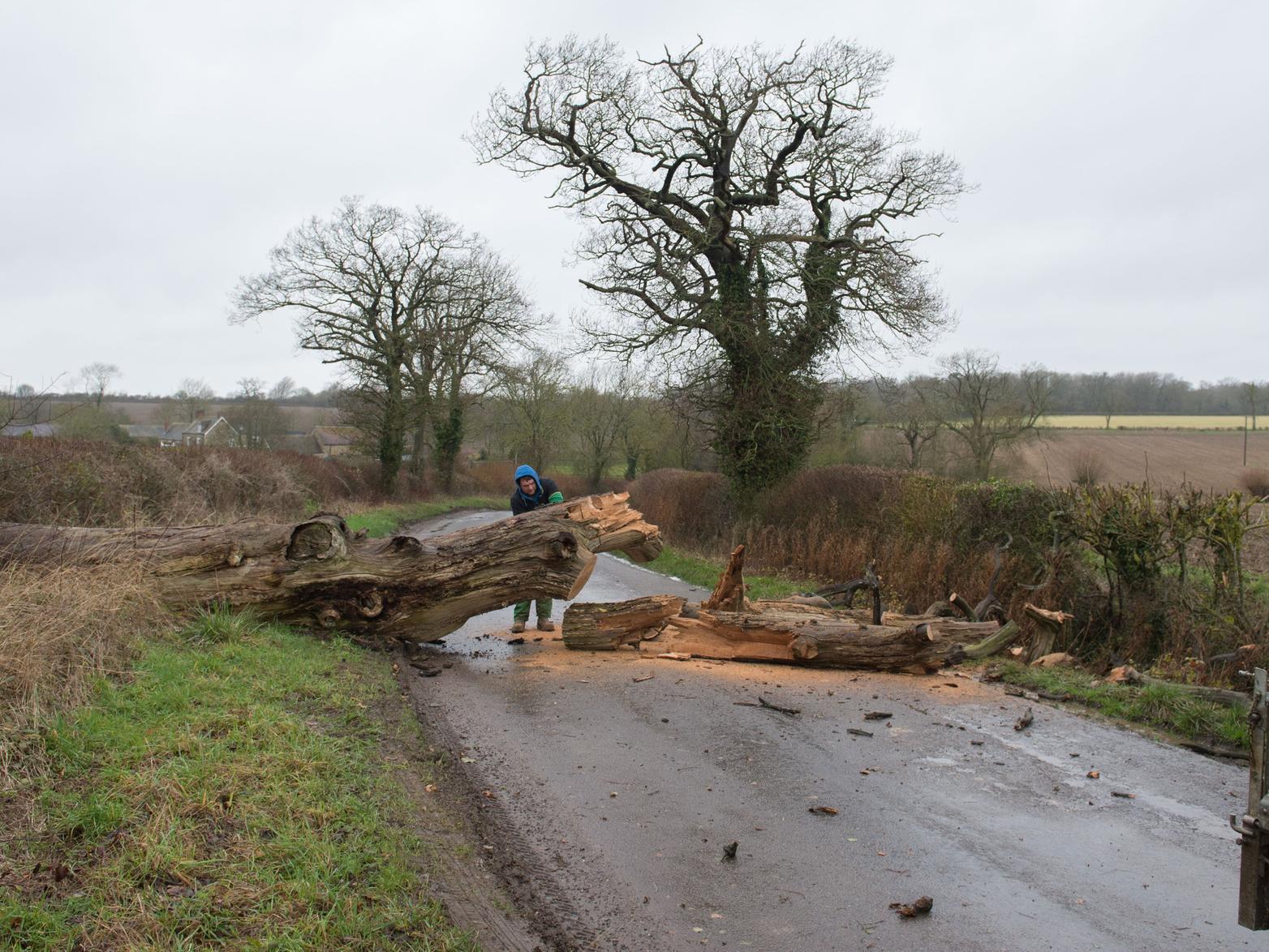 Welsh Lane at Biddlesden near Buckingham was blocked by a fallen tree