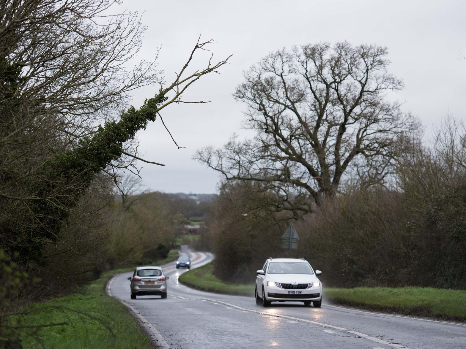 This tree was hanging precariously on a telephone wire over the A413