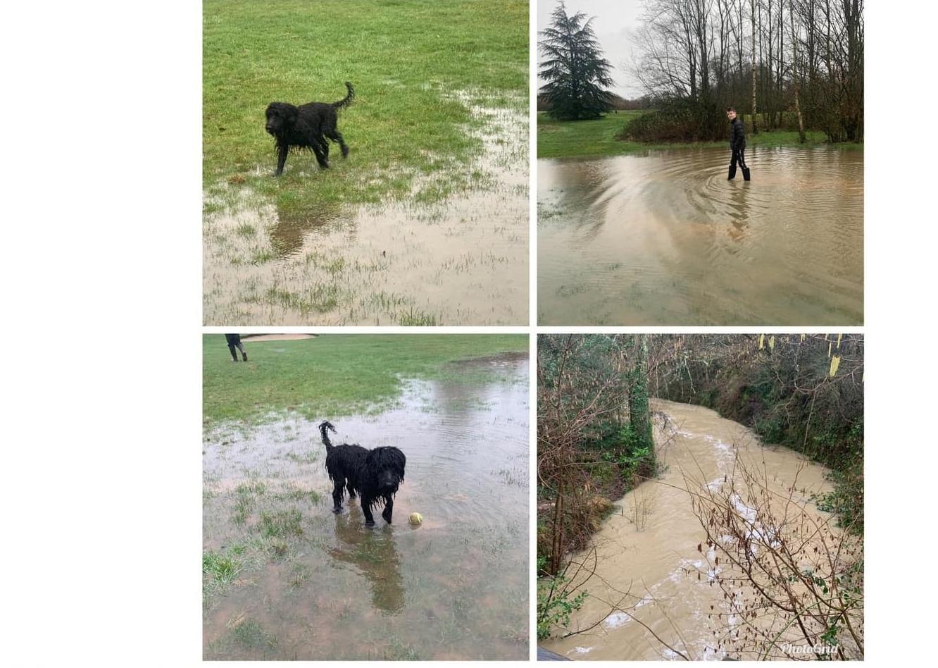 Rookwood Golf Course in Horsham was saturated SUS-200216-143717001