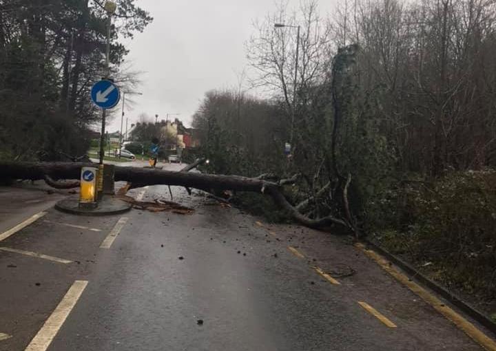 A tree blocked the A21 north of Hastings for several hours SUS-200216-143515001