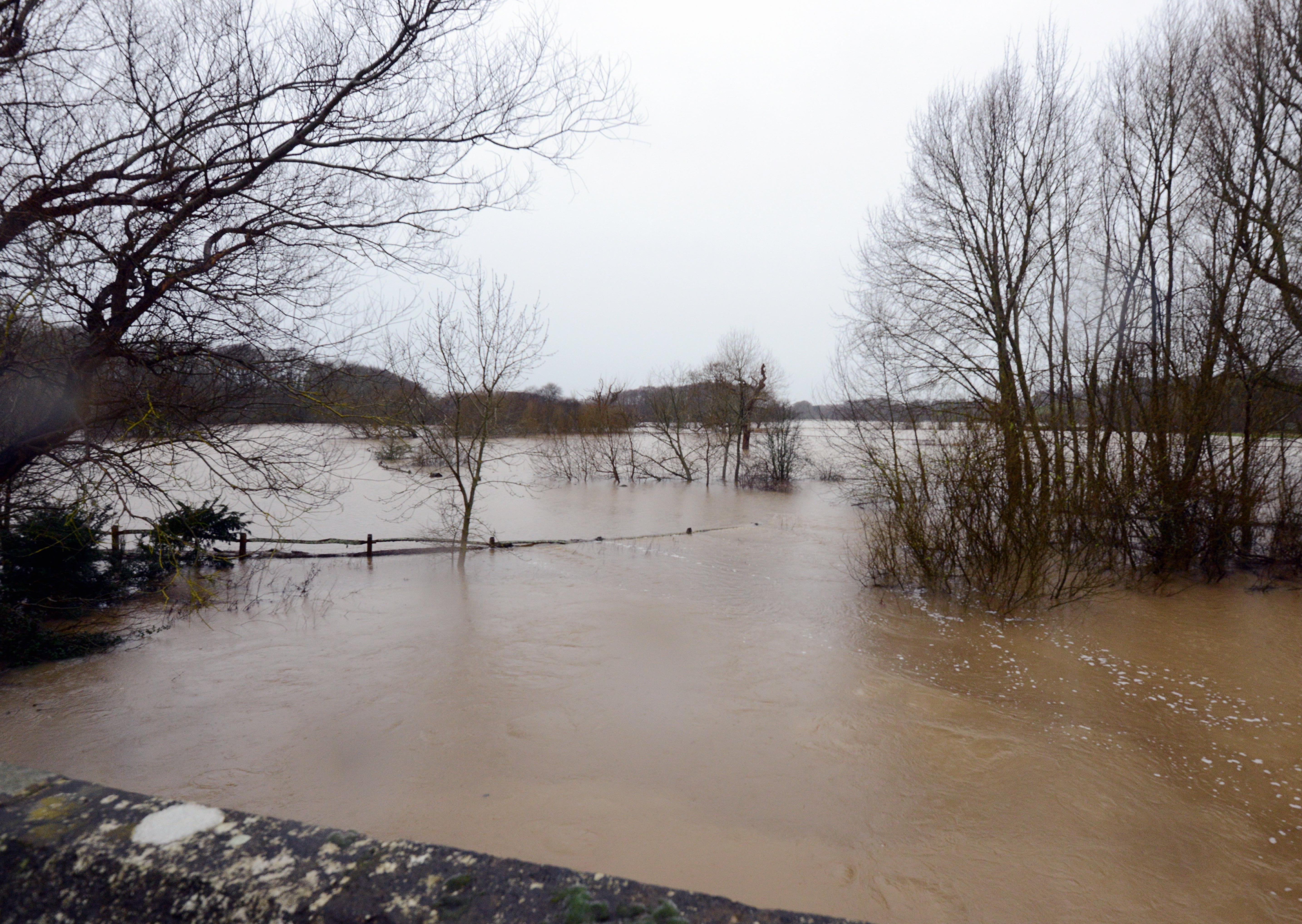 ks20062-10 Dennis Mid Pet Flood  phot kate
The river at Fittleworth burst its banks.ks20062-10 SUS-200216-184342008