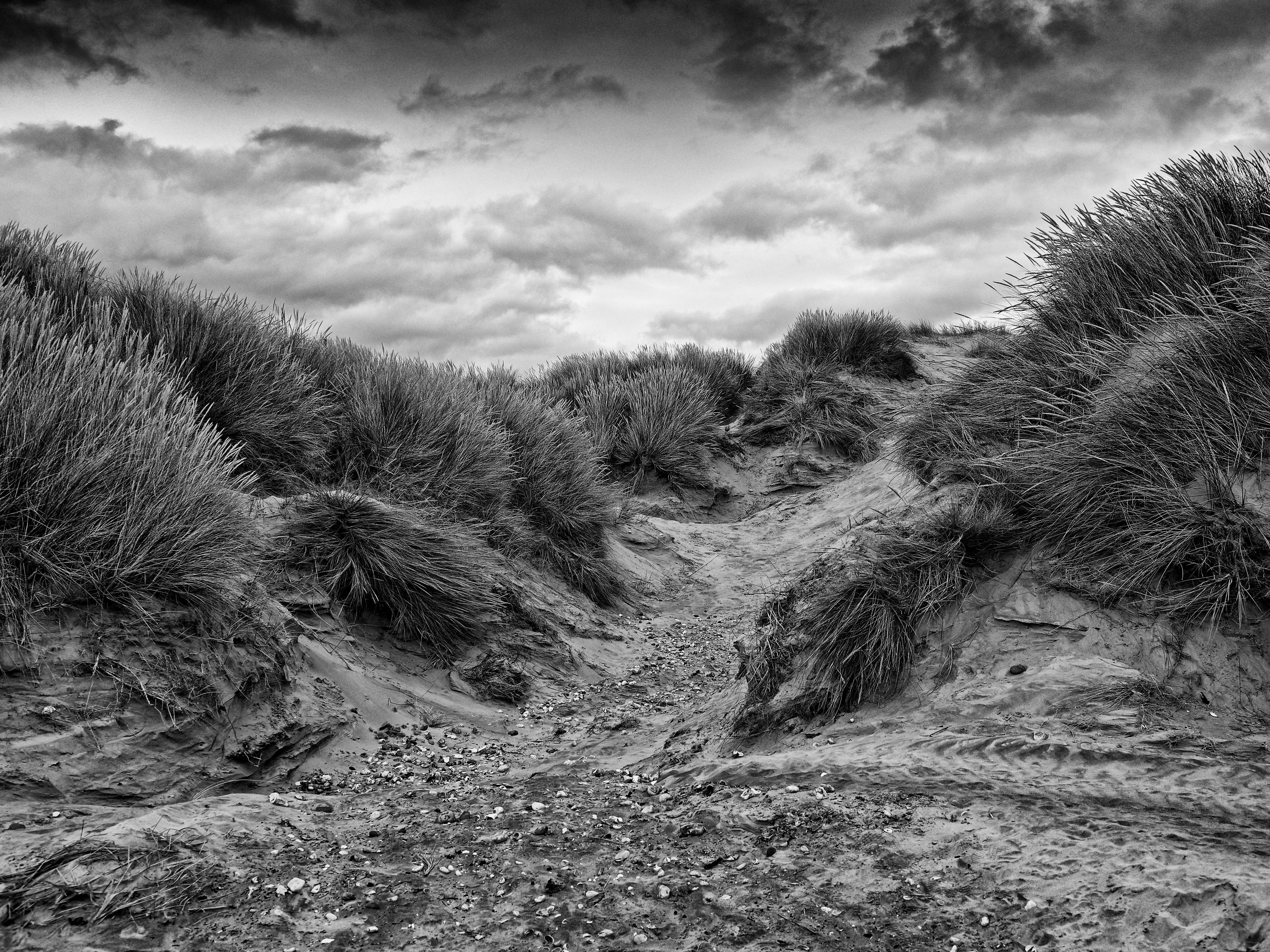 September – Black and white: The Dunes by Ray Foxlees