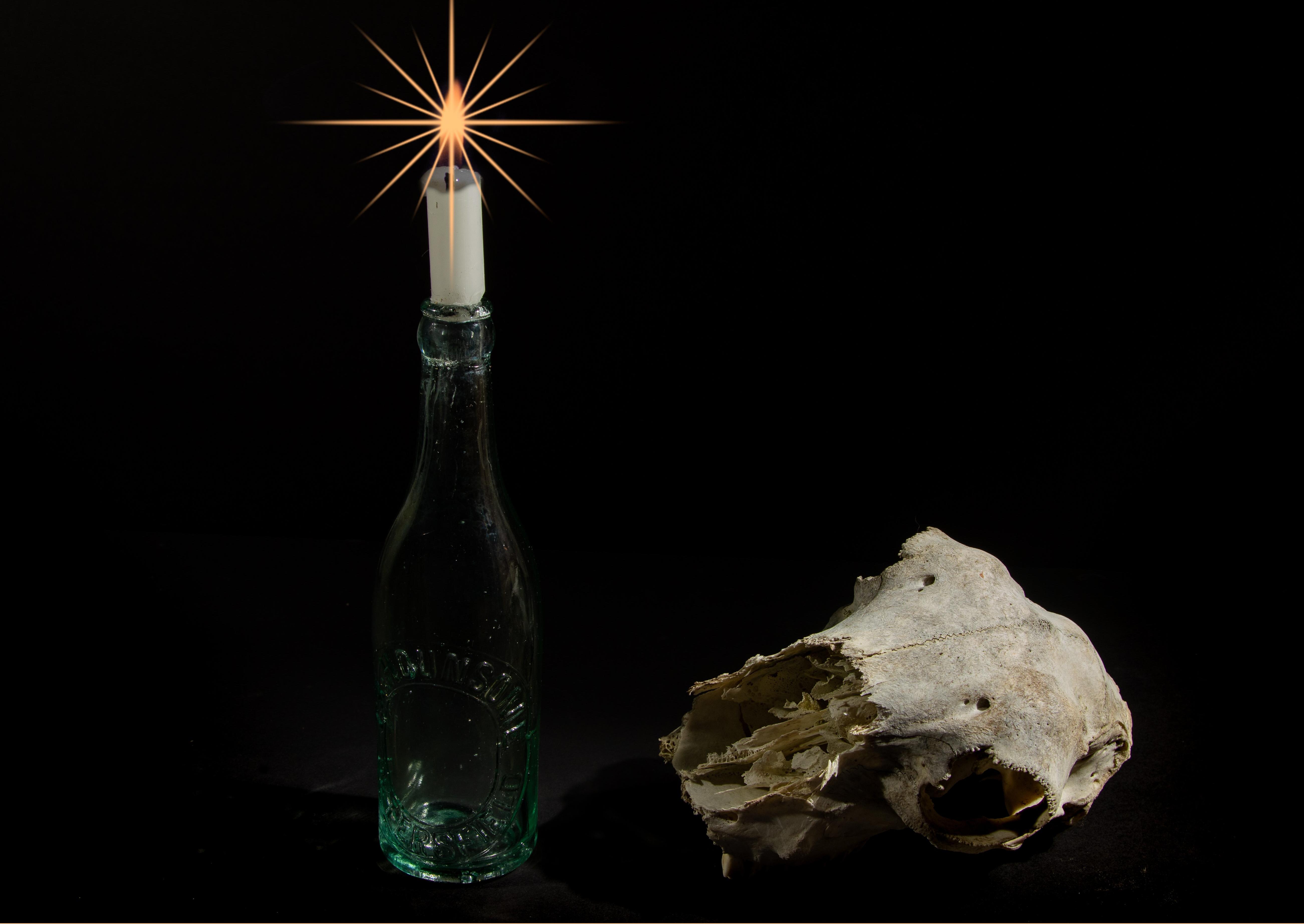 February – still life: Sheep’s Skull Bottle and Candle (after Picasso) by Janet Brown
