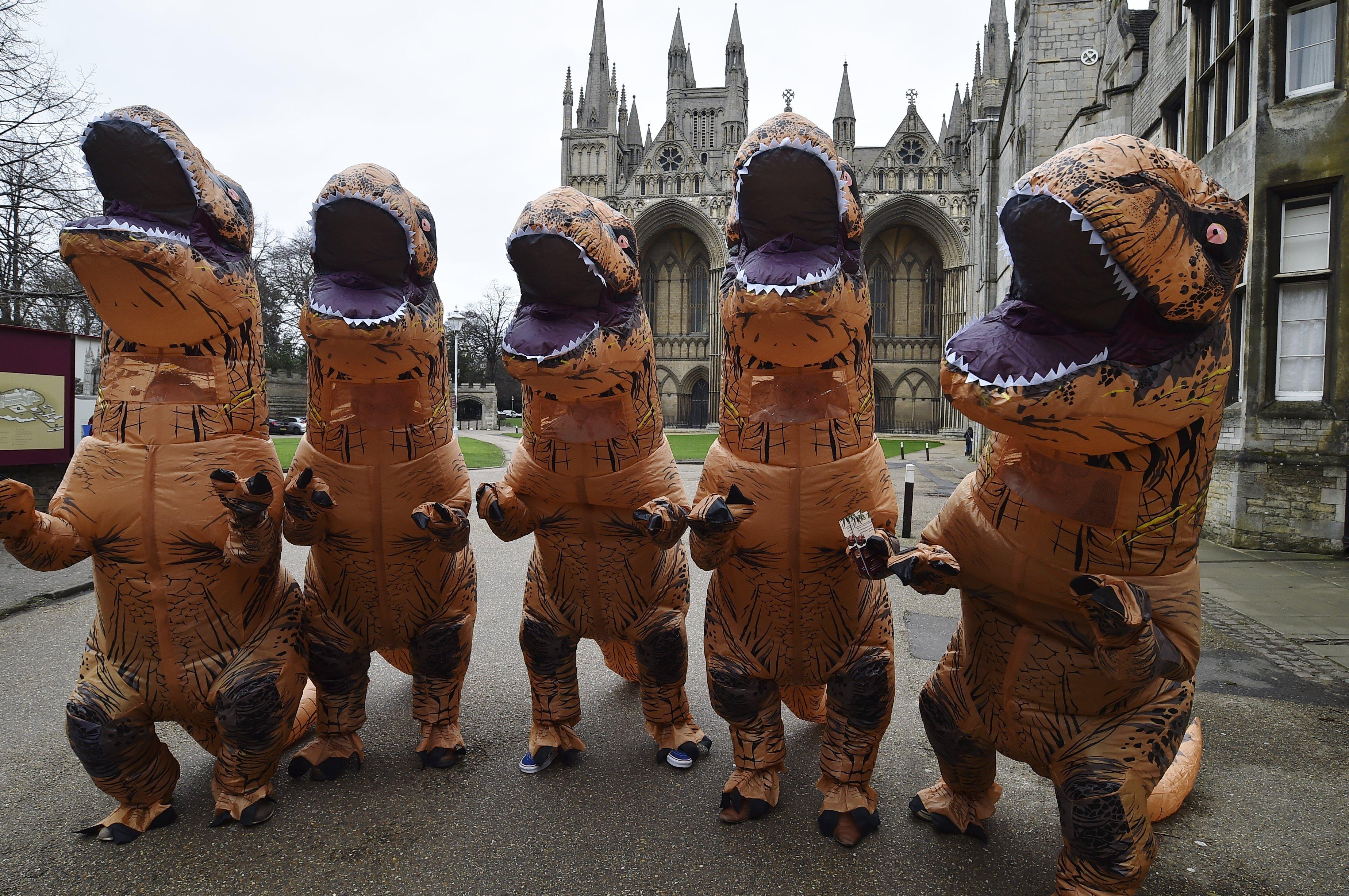 Dinosaurs visit Peterborough ahead of a major exhibition at the cathedral