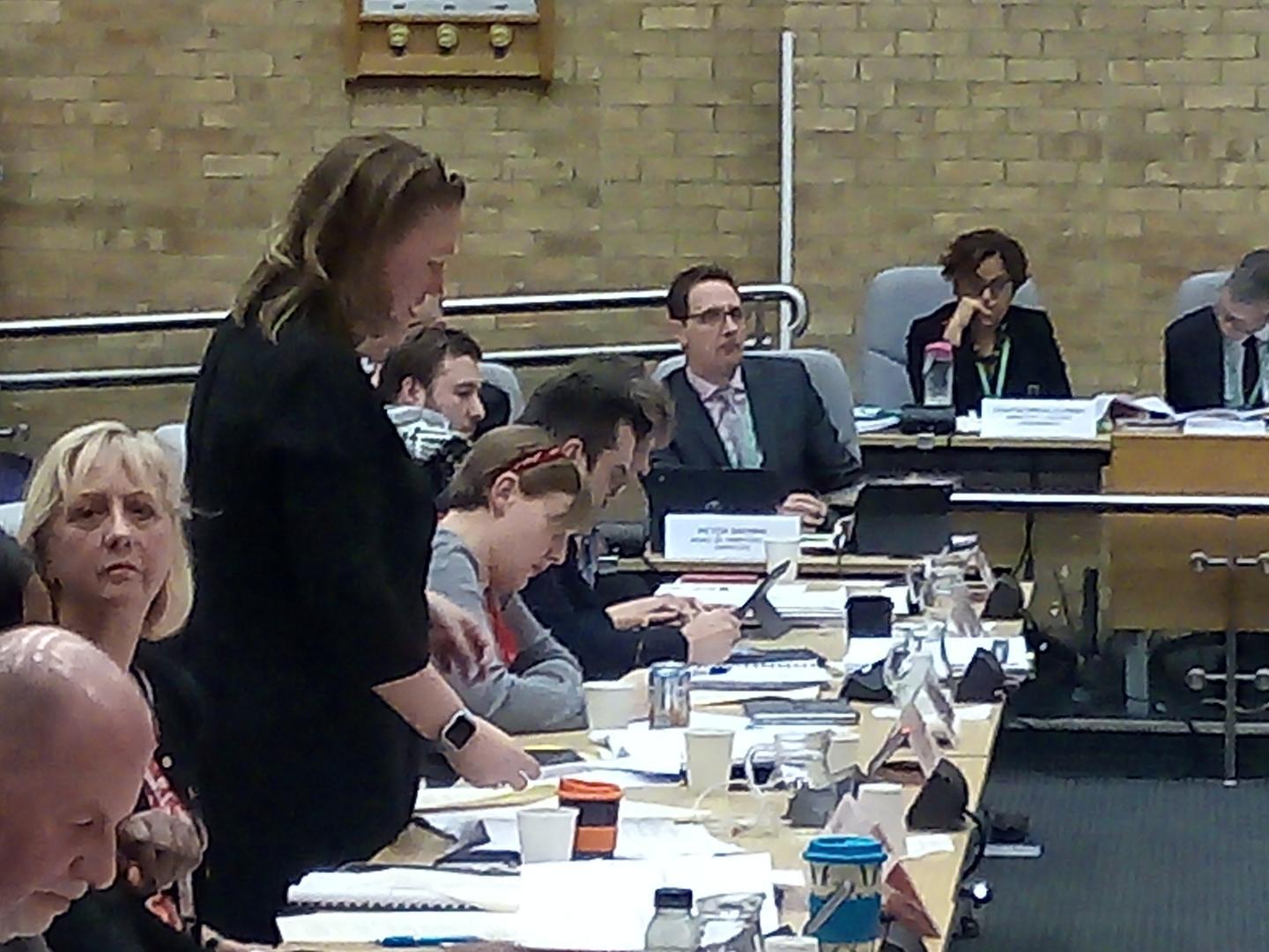 Cllr Emily Darlington (Lab, Bletchley East), commended the 250,000 being put into the budget to implement a sustainability action plan. The council is also developing a biodiversity strategy to help the citys wildlife.