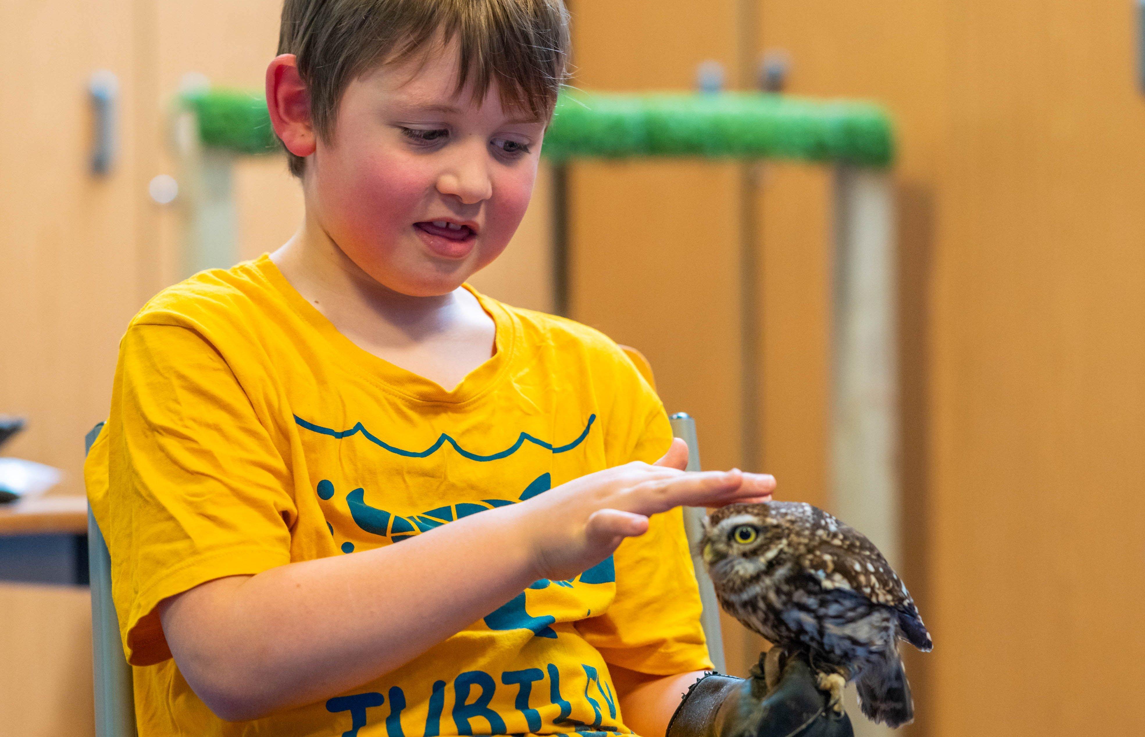 Children at Ashdown Centre in Worthing had owls to visit and a pizza-making session during a half term packed with activities. Picture: Guild Care