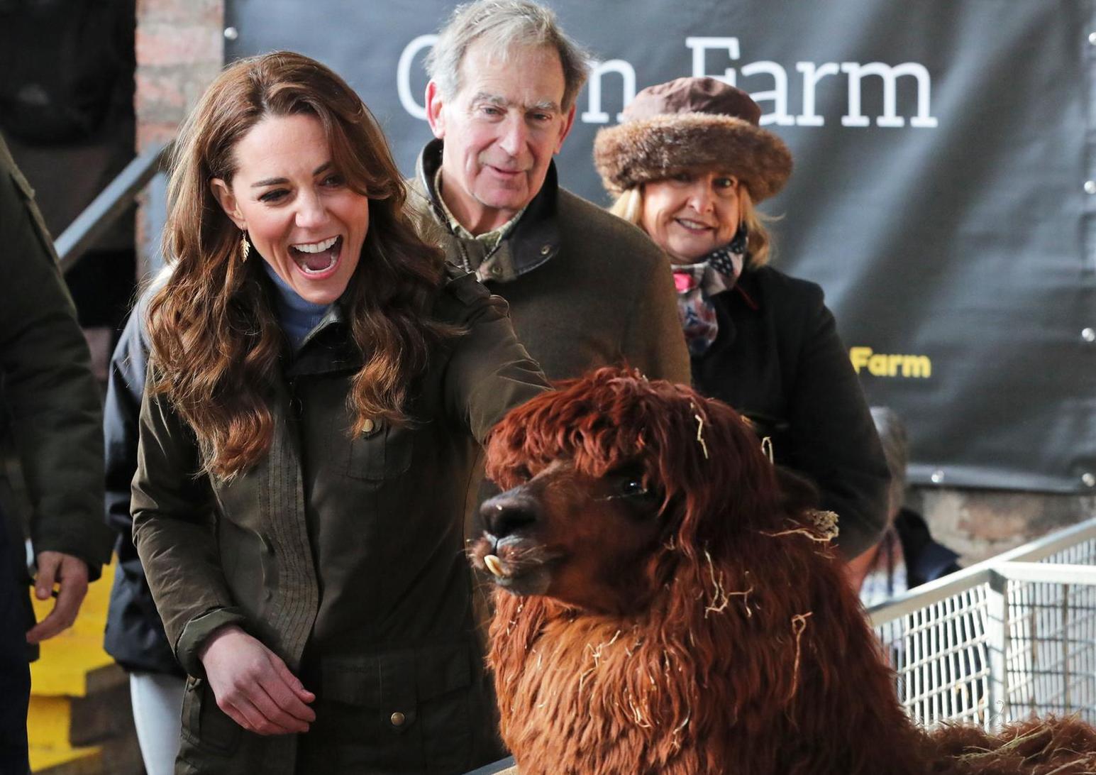 The Duchess of Cambridge during a visit to The Ark Open Farm